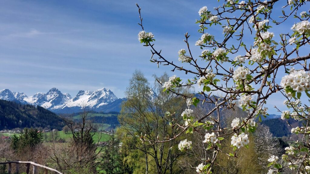 Impro-Workshop im Nationalpark Kalkalpen