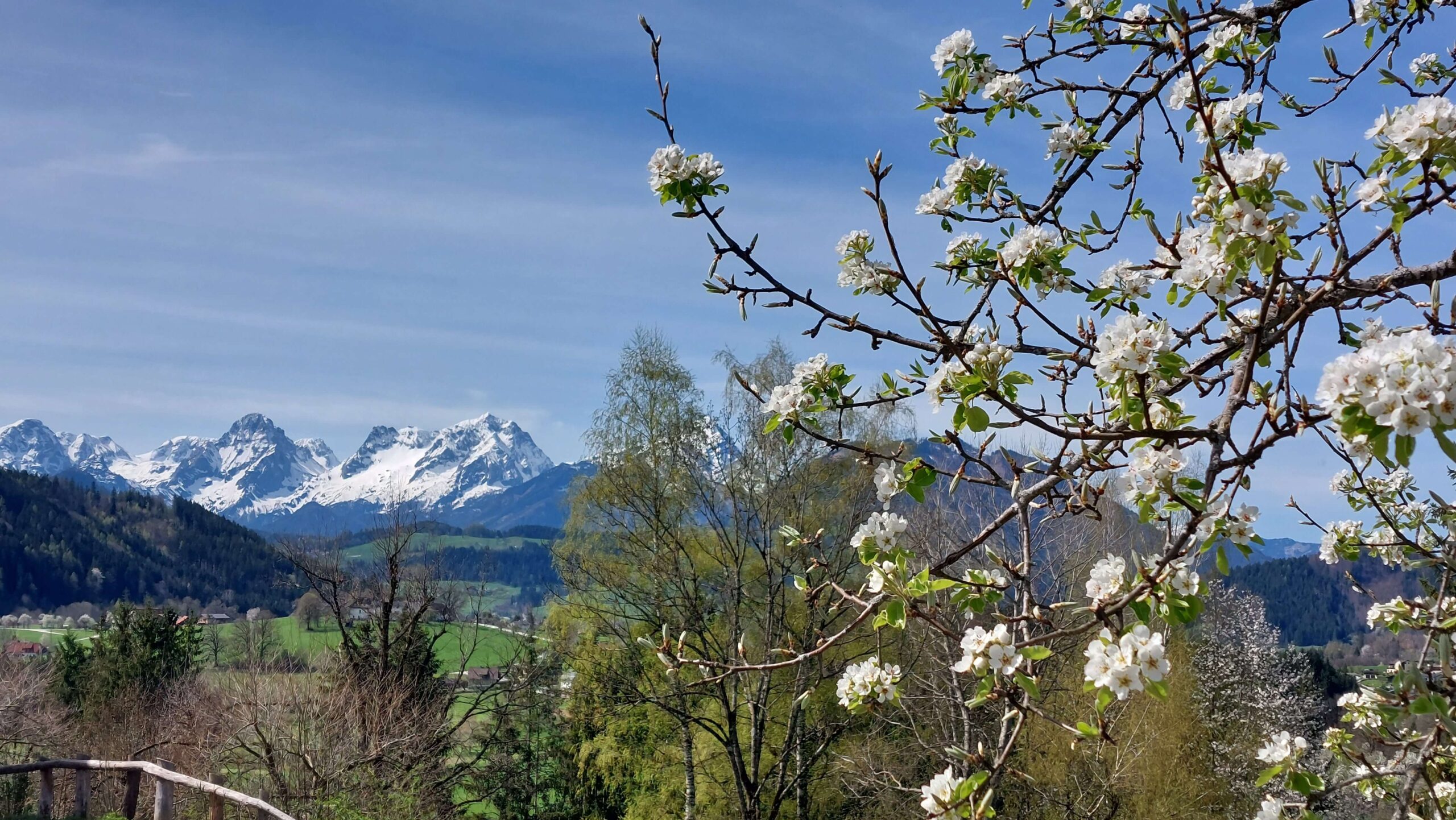 Impro-Workshop im Nationalpark Kalkalpen